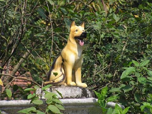 Với người Việt, chó là loài vật gần gũi, trung thành. Không chỉ xuất hiện trong truyện cổ tích, văn chương, người Việt còn sử dụng chó đá để thờ hay trang trí nhà. Ảnh: Internet.