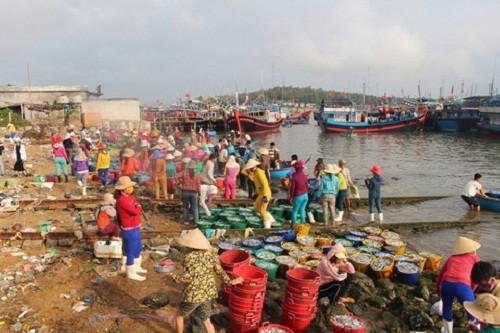 Ra khơi trong những ngày đầu năm mới Mậu Tuất 2018,  ngư dân trên khắp cả nước phấn khởi vì trúng "lộc biển" đầu xuân. Ảnh: Congan.