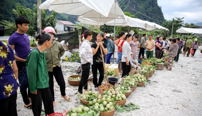 Cứ vào đầu tháng 8 hàng năm là  chợ na Đồng Bành (Chi Lăng, Lạng Sơn) lại tấp nập, nhộn nhịp. Ảnh: Tổ quốc.