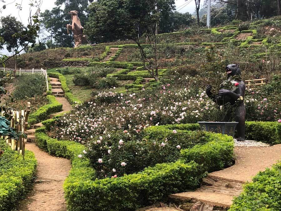 Cách trung tâm Hà Nội khoảng 50km,  vườn hồng rộng 3,5ha thôn Muồng Châu, xã Vân Hòa (Ba Vì, Hà Nội) được Guiness Việt Nam công nhận là vườn hồng lớn nhất Việt Nam. Ảnh: Vietnamnet.