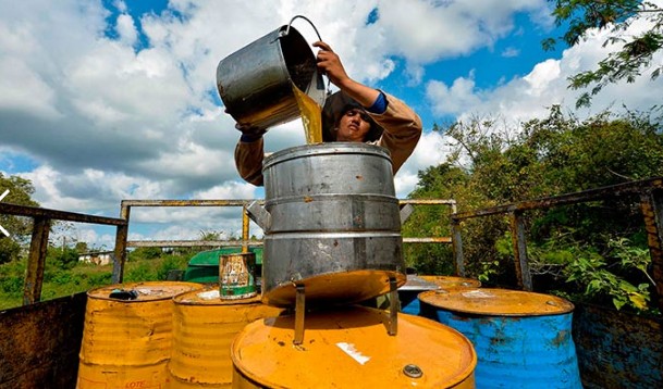 Các thung lũng hoa của tỉnh Matanzas (Cuba) nổi tiếng với ngành sản xuất  mật ong hữu cơ.