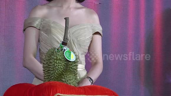 Trong buổi đấu giá trái  sầu riêng kanyao mới đây tại lễ hội King of Durian 2019 ở Thái Lan, một trái sầu riêng đã thu được mức giá lên tới 48.000 USD (tương đương 1,1 tỷ đồng). Ảnh: Newsflare.