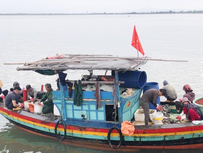 Tại cảng Cửa Sót, huyện Lộc Hà (Hà Tĩnh), trong những ngày qua ngư dân ra khơi đánh bắt  sò mai đều trở về với con thuyền đầy khoang “lộc trời”.