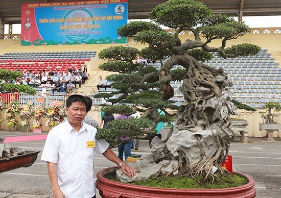 Đại gia Toàn 'Đô la" (ở Việt Trì, Phú Thọ) đươc biết là "tay chơi" khét tiếng làng  cây cảnh. Ảnh: Vietnamnet