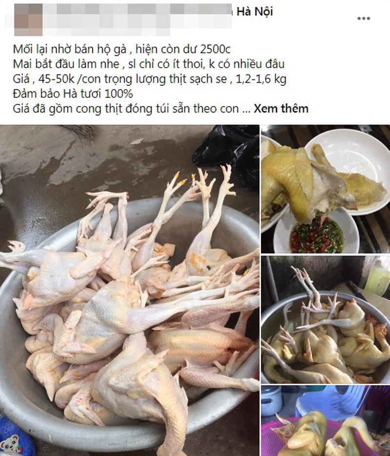 Thời gian gần đây, trên chợ mạng xuất hiện nhiều bài rao bán gà ri mổ sẵn nặng 1-1,6 kg với giá khá rẻ chỉ từ 45.000 - 90.000 đồng/con.