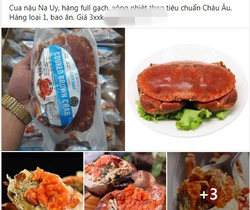 Gần đây, trên thị trường xuất hiện loại cua gạch Na Uy (cua nâu Na Uy) giá chỉ từ 290-350.000 đồng/kg, bằng nửa giá cua gạch Cà Mau.