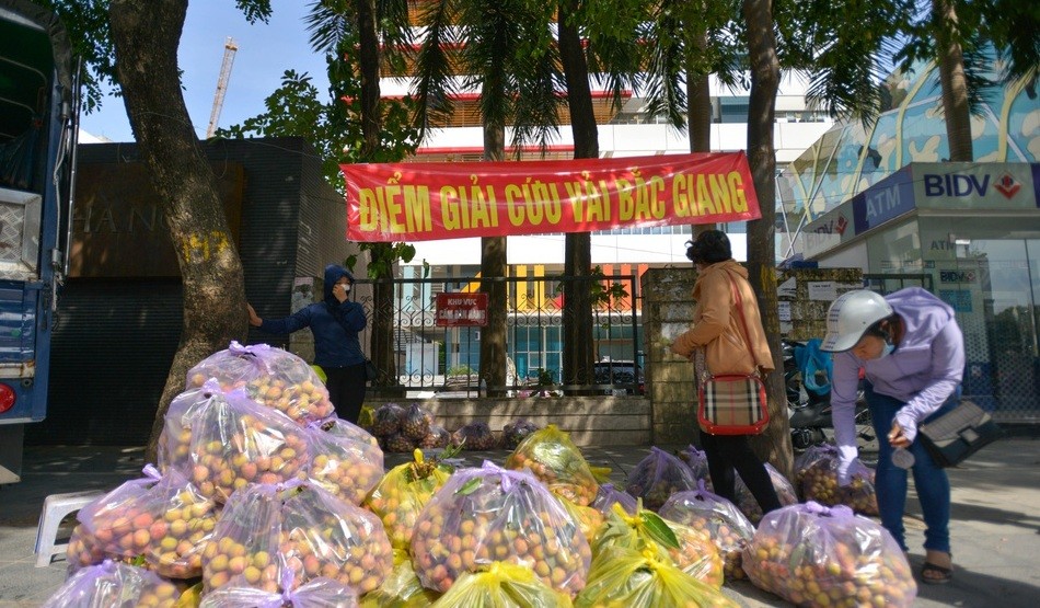 Những ngày qua, việc tiêu thụ  vải thiều Bắc Giang gặp nhiều khó khăn. Do đó một số điểm giải cứu vải thiều Bắc Giang bắt đầu xuất hiện ở Hà Nội.