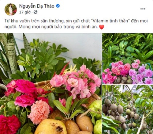 Mới đây, bà xã  Quyền Linh - Dạ Thảo chia sẻ trên trang cá nhân khu vườn sai trĩu quả trên sân thượng khiến ai nấy đều ngưỡng mộ.