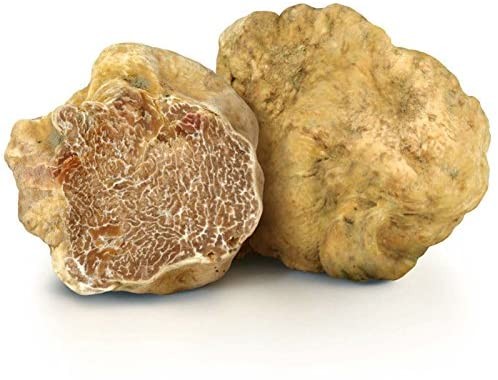 Trong khi nấm truffle đen được làm nguyên liệu trong rất nhiều  món ăn trên thế giới thì nấm Truffle Alba trắng lại cực đắt đỏ và chỉ dành cho giới thượng lưu. Ảnh: Amazon