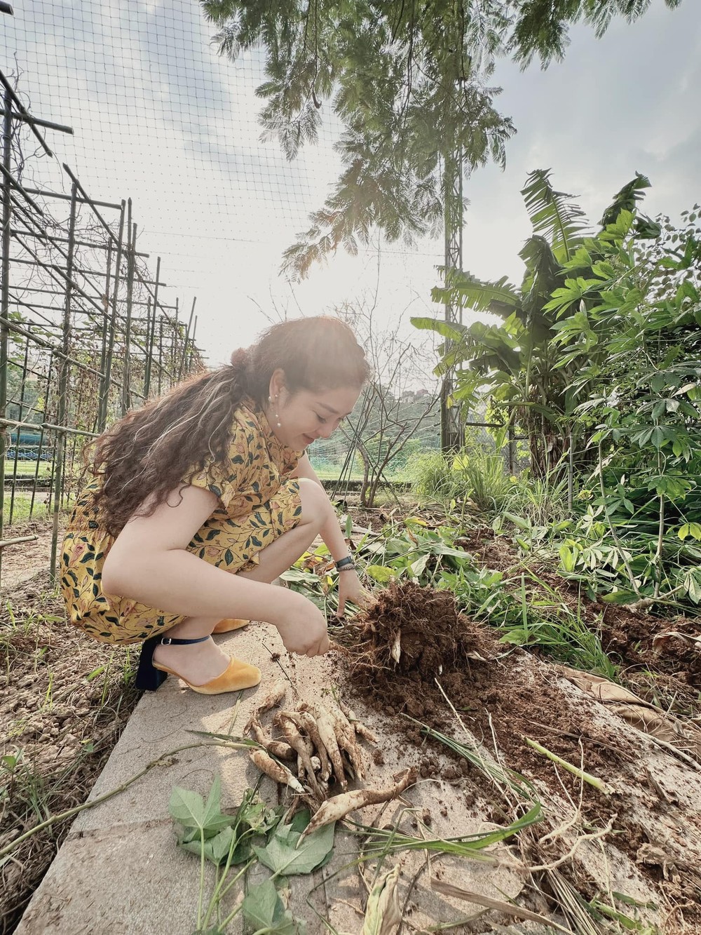 Ngoài tập trung phát triển sự nghiệp,  Hoa hậu Nguyễn Thị Huyền sống thư thái với niềm yêu thích trồng cây, làm vườn trong cơ ngơi của mình.