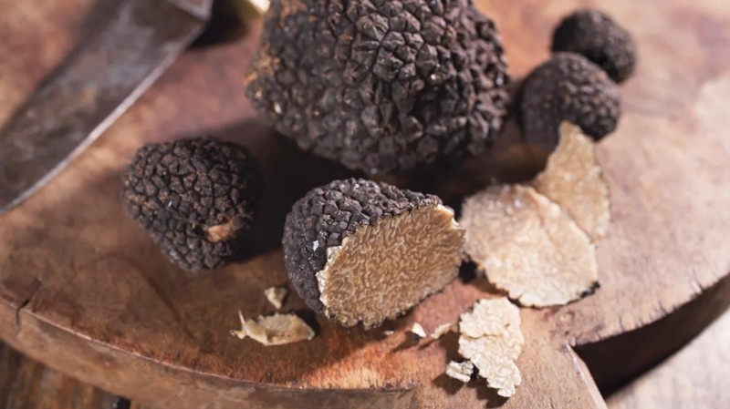  Nấm truffle được giới nhà giàu ưa chuộng bởi chất lượng dinh dưỡng và hương vị đặc biệt. Truffle được xem là loại nấm đắt đỏ nhất khi loại thượng hạng trên thị trường giá từ 12.000 – 20.000 USD/kg (khoảng 281 - 469 triệu đồng/kg). Ảnh: Healthline