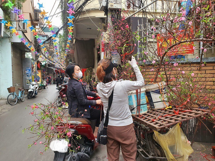 Vài ngày trước Tết Nguyên đán Giáp Thìn 2024, trên các tuyến phố, chợ dân sinh hay chợ online tại Hà Nội tràn ngập hoa đào phục vụ nhu cầu của người dân. Ảnh: Người đưa tin