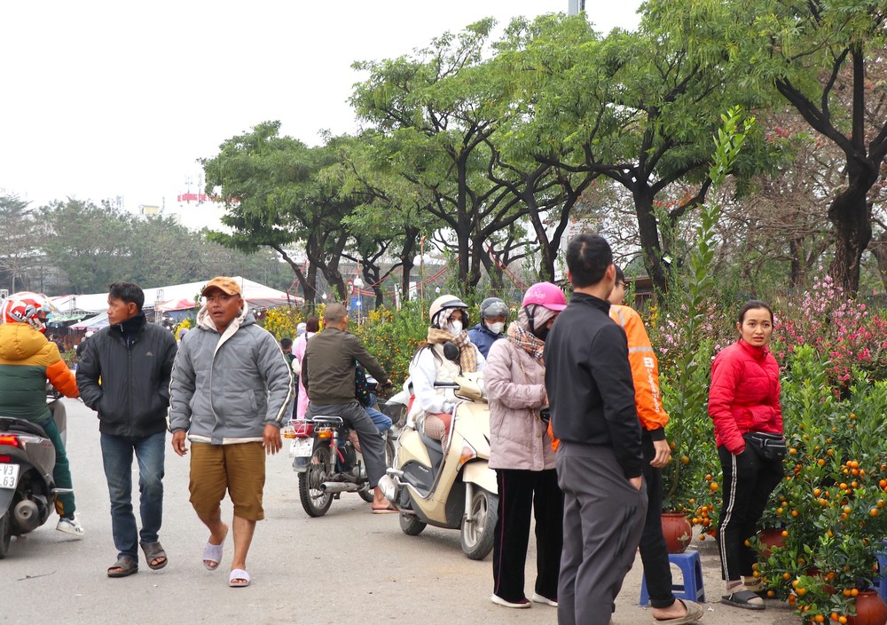 Dạo quanh các phố bán đào,  quất tấp nập như chợ họp ở Mỹ Đình, chợ hoa Trung Kính đã tấp nập những biển giảm giá, đồng giá.