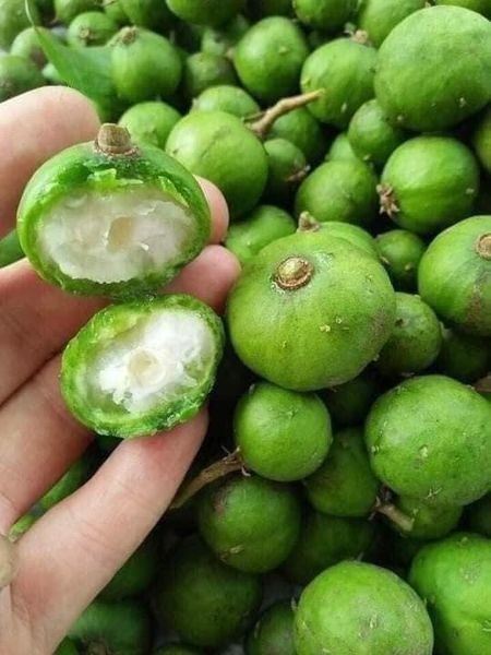 Những ngày gần đây, trên chợ mạng và một số chợ dân sinh ở Hà Nội đã bán  sấu non đầu mùa.