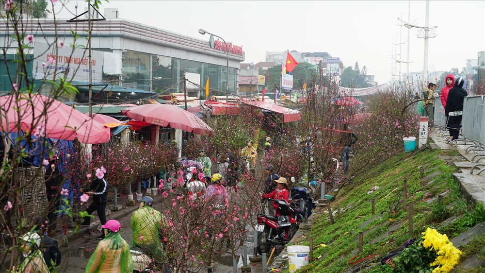 Quảng Bá là  chợ hoa nổi tiếng Hà thành, không chỉ là chợ đầu mối lớn nhất Hà Nội mà đây còn là một trong những chợ hoa Tết sầm uất nhất. Ảnh: Dân Việt