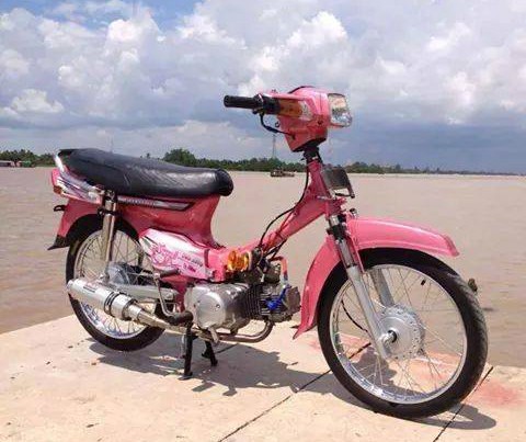 Chiếc Honda Dream độ màu hồng hạ phuộc khoe dáng dưới nắng bên sông.