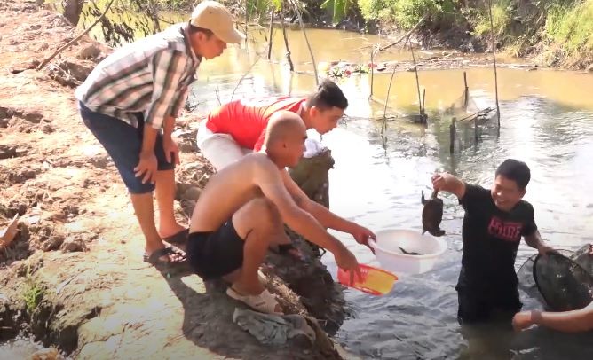 Trong lúc bắt cá trên bờ ruộng, nhóm thanh niên ở huyện Châu Thành, An Giang  bắt được con rùa lạ có hình dạng khác thường.