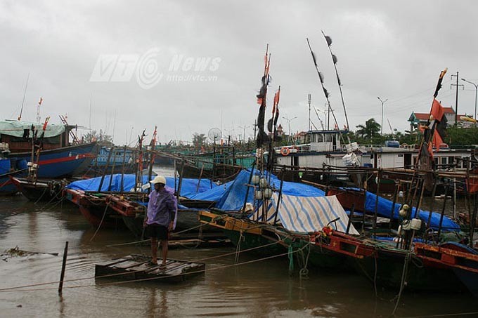 Chiều 7/8, hàng trăm chiếc thuyền của ngư dân Đồ Sơn đã được cột chặt vào nhau trong âu thuyền tránh bão.