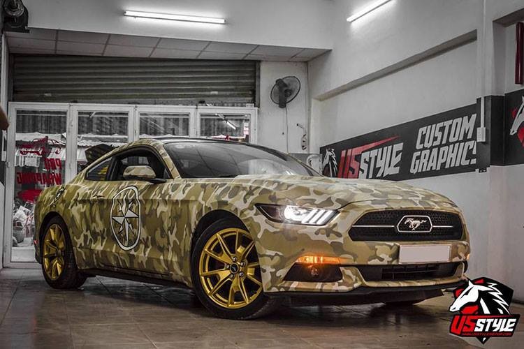 Ra mắt lần đầu vào triển lãm ôtô New York 2014,  Ford Mustang 50th Anniversary Edition là phiên bản đặc biệt của Mustang thế hệ hiện tại, được tung ra nhằm kỷ niệm 50 năm ngày ra mắt của dòng xe "cơ bắp" này.