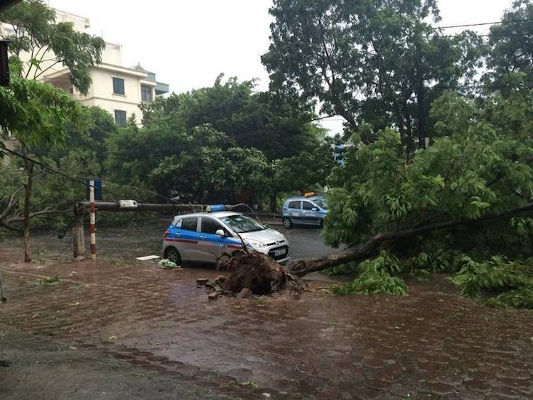 "Điệp khúc" bão lớn - cây đổ đã diễn ra tại Hà Nội nhiều năm nay và trong cơn bão số 1 với tên gọi Mirinae vừa qua, tình trạng này lại tiếp tục xảy ra, khiến cho hàng chục chiếc  ôtô và xe máy bị hư hại nặng.