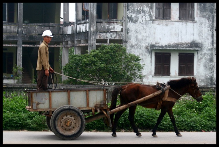 Kị sỹ La Mã cuối cùng? Ảnh: Konrad.