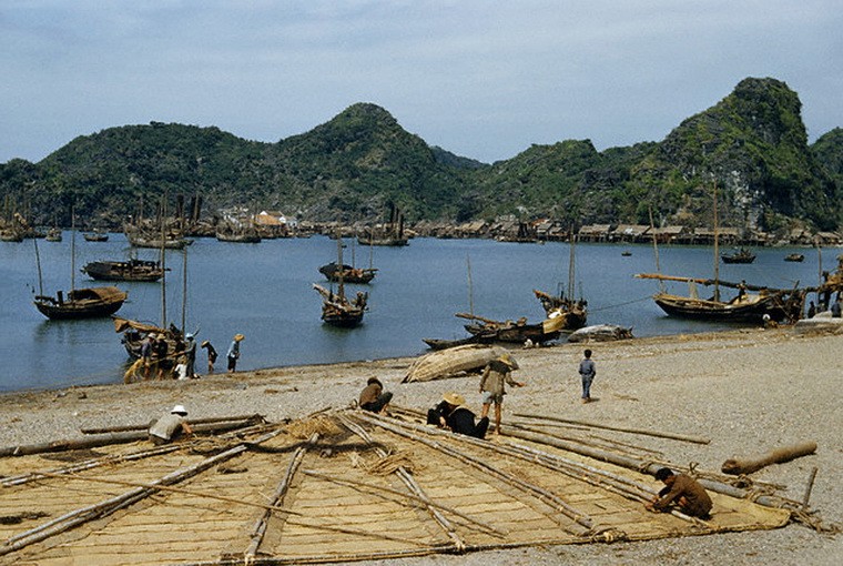 Những người Hoa tỵ nạn làm một chiếc buồm trên bãi biển ở phía Bắc  Việt Nam năm 1952.