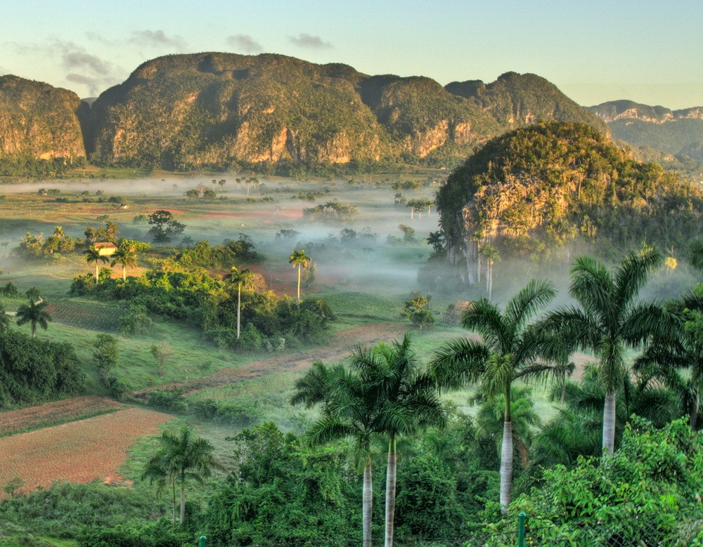  Thung lũng xì gà Vinales là một vùng trũng có diện tích 132 km² nằm ở tỉnh Pinar del Río của Cuba.