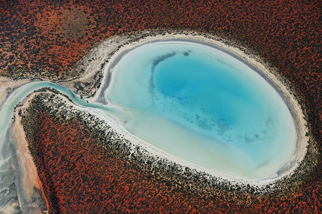 Ảnh chụp đầm phá ở Shark Bay, Australia. Bức ảnh cho thấy sự kết hợp tương phản mà hài hòa cửa những tông màu nóng và lạnh.