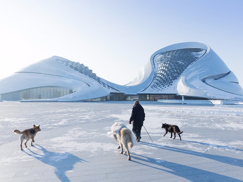 Hoàn thành vào năm 2015, Harbin Opera House được xây dựng tại tỉnh Hắc Long Giang, Trung Quốc. Hình dáng tòa nhà khiến người ta liên tưởng đến những ngọn gió, hòa quyện hoàn hảo với thiên nhiên.