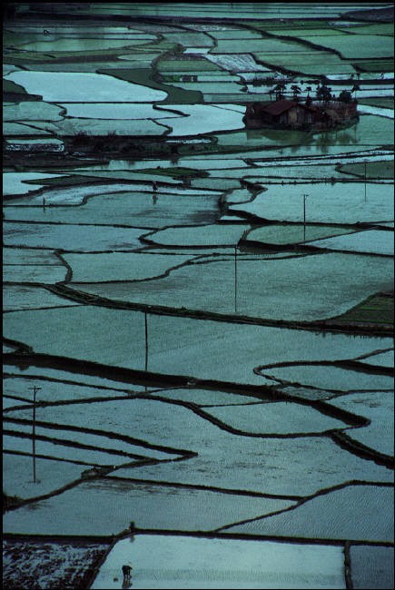 Những ruộng lúa ở  Cao Bằng năm 1994. Loạt ảnh do phóng viên người Pháp Bruno Barbey của tổ chức nhiếp ảnh quốc tế Magnum thực hiện.