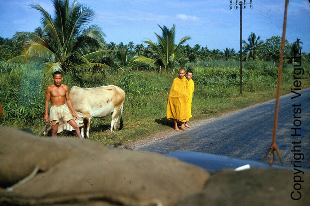 Chàng chăn bò và hai nhà sư trẻ ven đường quốc lộ,  Miền Nam Việt Nam năm 1965 - 1966.