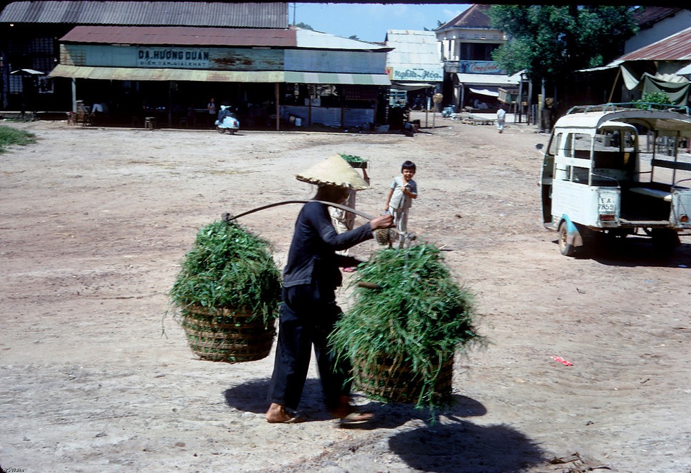 Cụ bà gánh cỏ cho ngựa ăn, thị xã  Biên Hòa năm 1967, ảnh chụp của cựu binh Mỹ Gordon Waite. Ảnh: Smugmug.com.