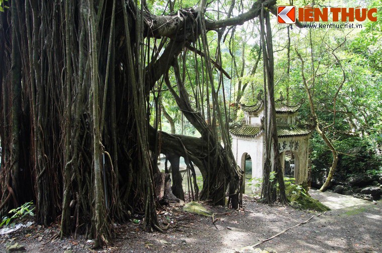 1. Nằm cách chùa Tam Chúc - nơi đang diễn ra  Đại lễ Vesak 2019  - khoảng 10 km về phía Bắc, chùa Hương là cả một quần thể văn hóa - tôn giáo Việt Nam, gồm hàng chục ngôi chùa thờ Phật, vài ngôi đền thờ thần, các ngôi đình, thờ tín ngưỡng nông nghiệp. Trung tâm của cụm đền chùa tại vùng này chính là chùa Hương nằm trong động Hương Tích hay còn gọi là chùa Trong.