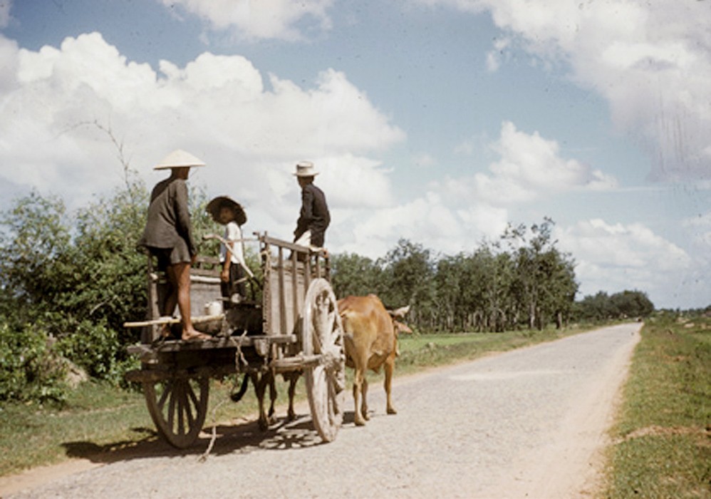 Xe bò kéo trên một con đường ở ngoại vi thị xã  Tây Ninh năm 1958. Xe bò kéo là phương tiện đi lại rất thông dụng ở Tây Ninh thời gian này. Ảnh: Vietnam Center and Archive.