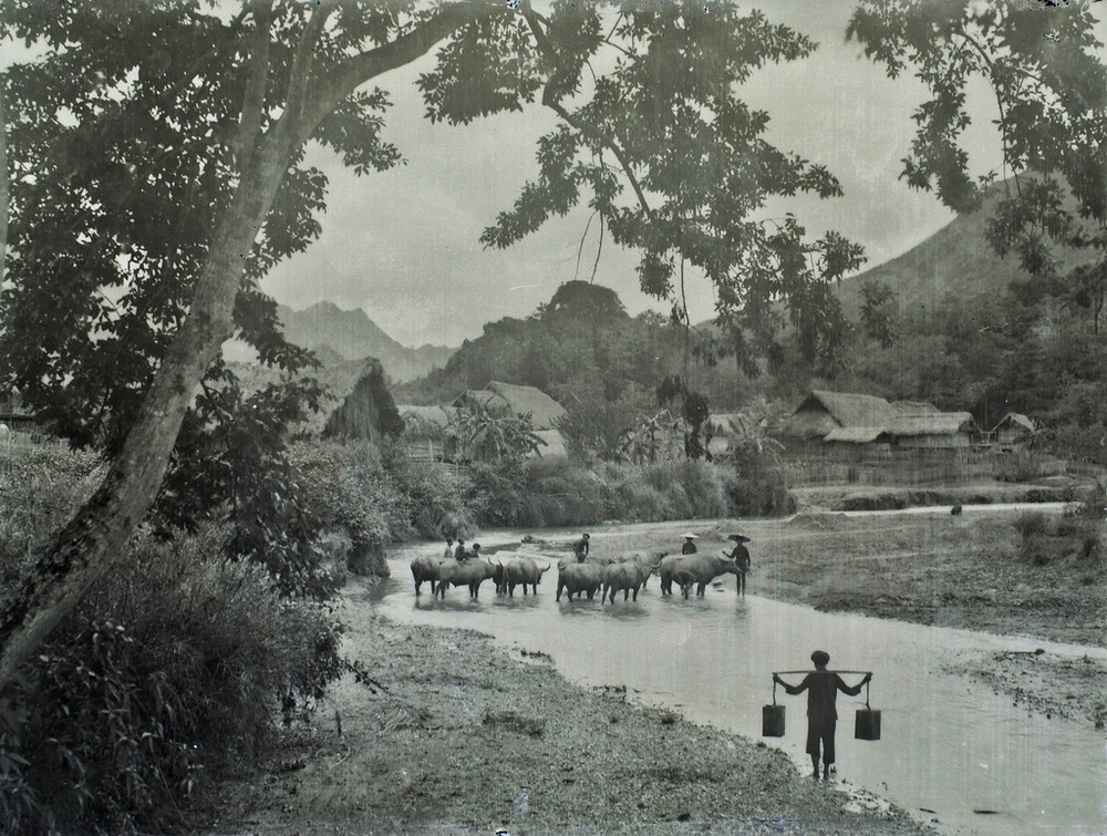 Khung cảnh gần một bản của người H'Mông ở  Bắc Hà, Lào Cai thập niên 1920.