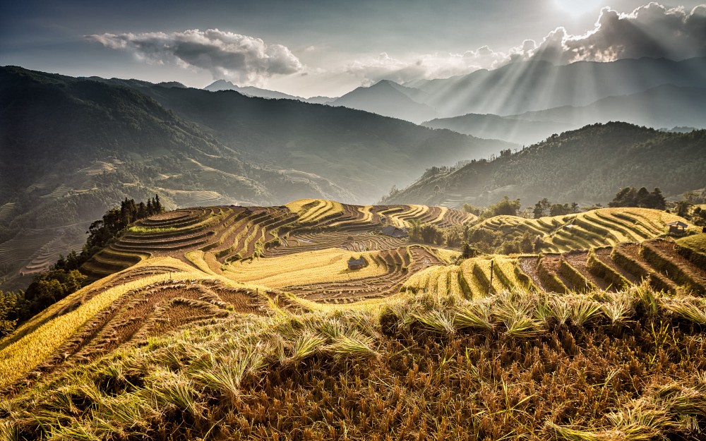 Mùa gặt ở miền địa đầu  Hà Giang. Ảnh: Sylvain Marcelle / 500px.com.