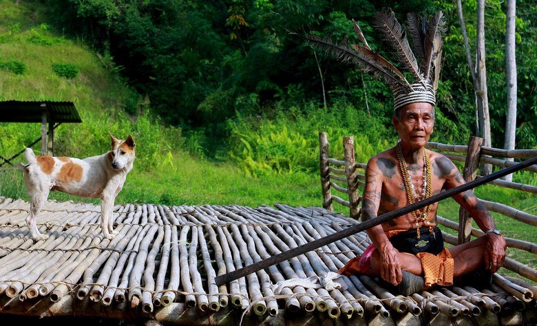 1. Nhiều nhà nghiên cứu cho rằng tộc người Dayak sống trên đảo Boerneo, là  hậu duệ của người Việt cổ ở Indonesia. Tộc người này nổi tiếng với tục săn đầu người giữa các bộ tộc.