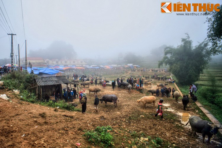 Họp vào sáng thứ 4 hàng tuần,  chợ phiên Sín Chéng (xã Sín Chéng, huyện Si Ma Cai, tỉnh Lào Cai) là khu chợ độc đáo ở miền địa đầu tổ quốc. Đây cũng là nơi có chợ trâu với quy mô khá lớn của khu vực.