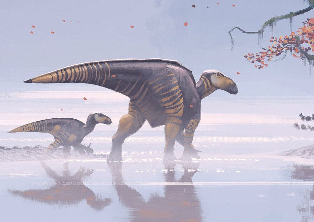 Iguanodon là tên gọi của một trong những loài khủng long nổi tiếng nhất từng được con người phát hiện. Lịch sử khám phá loài khủng long này gắn liền với lịch sử nghiên cứu về khủng long của con người.