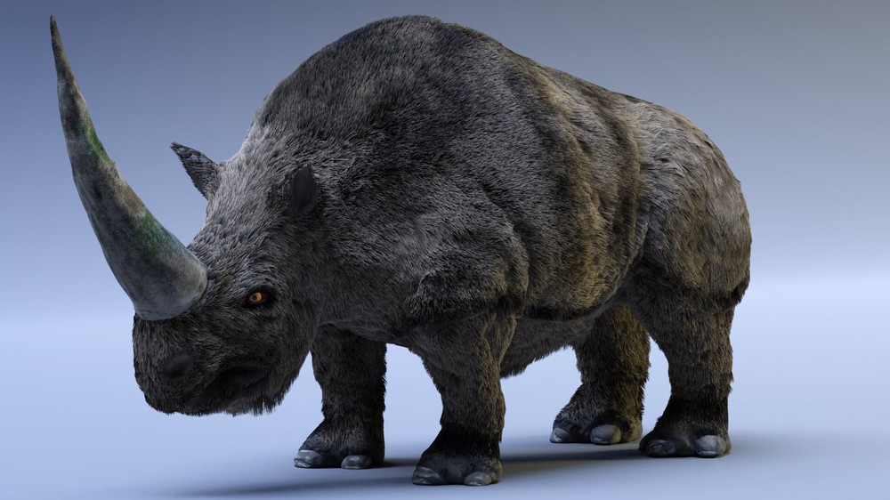  Elasmotherium là tên gọi của một chi tê giác từng sống ở lục địa Á-Âu vào cuối thế Thượng Tân cho đến thế Canh Tân thuộc Đại Tân sinh, cách đây khoảng 2,6 triệu năm đến 29.000 năm trước.