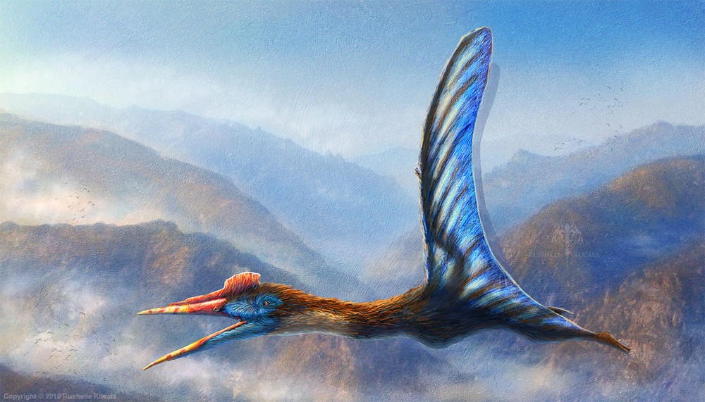 Trong các loài vật tung cánh trên bầu trời,  thằn lằn bay Quetzalcoatlus là loài lớn nhất từng được biết đến từ trước đến nay.