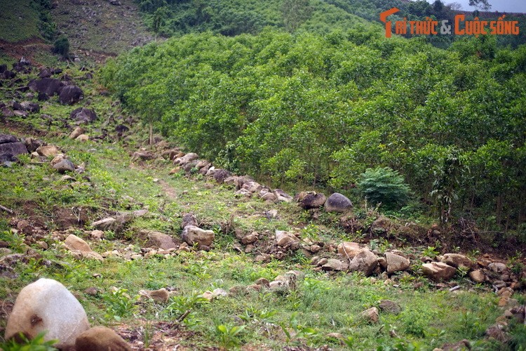 Tọa lạc ở huyện Nghĩa Hành, tỉnh Quảng Ngãi,  làng cổ Thiên Xuân là dấu tích một quần thể dân cư của người Việt xưa với nhiều công trình được làm từ vật liệu đá khai thác tại chỗ.