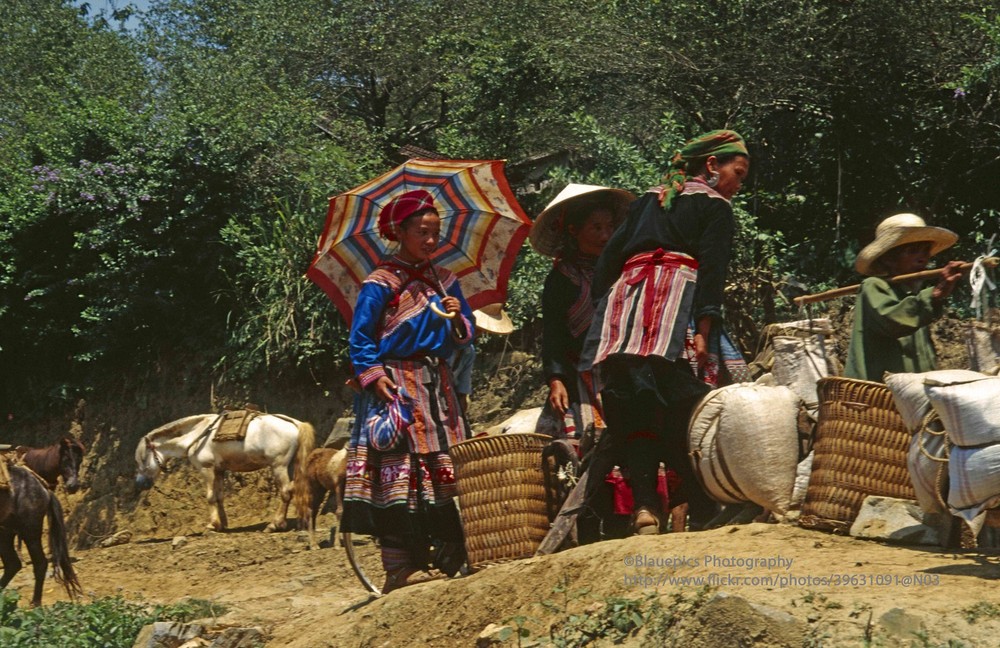 Đồng bào dân tộc H'Mông mang vác hàng hóa đến chợ phiên Bắc Hà, thị trấn Bắc Hà,  Lào Cai năm 1998.