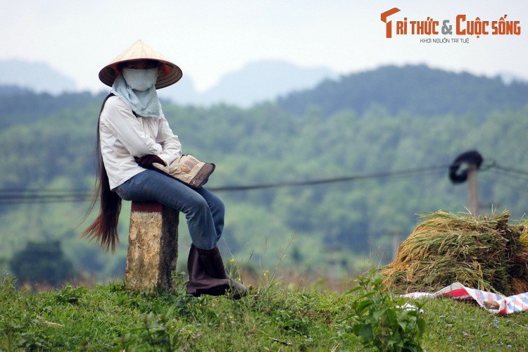 Cô thôn nữ có mái tóc dài thướt tha ngồi nghỉ trên bờ ruộng sau một buổi làm việc đồng áng. Hình chụp tại huyện Kim Bôi, tỉnh Hòa Bình.