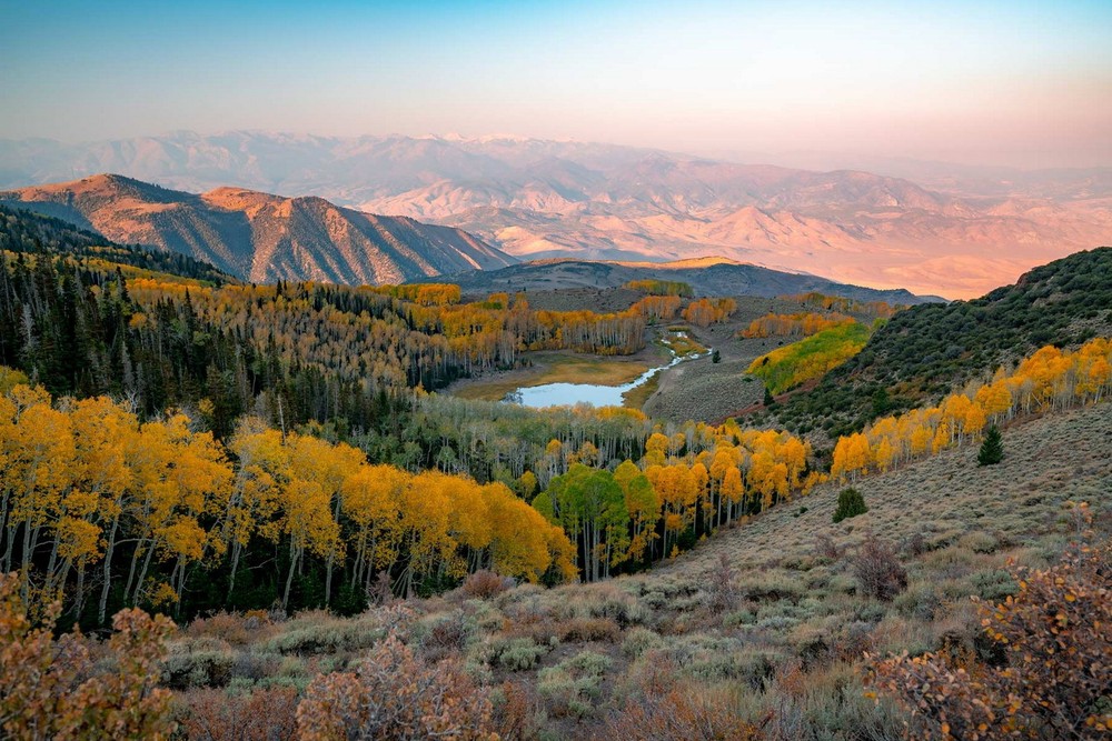 Nằm tại Hạt Kiểm lâm Sông Fremont của Vườn quốc gia Fishlake ở rìa phía Tây của Cao nguyên Colorado, bang Utah, Mỹ,  rừng cây dương Pando được coi là sinh vật lớn nhất còn tồn tại trên quả đất.