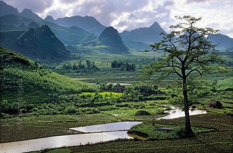 Khung cảnh thơ mộng ở Tam Đường, Lai Châu, vùng  Tây Bắc Việt Nam đầu thập niên 2010. Ảnh: Mick Palarczik.