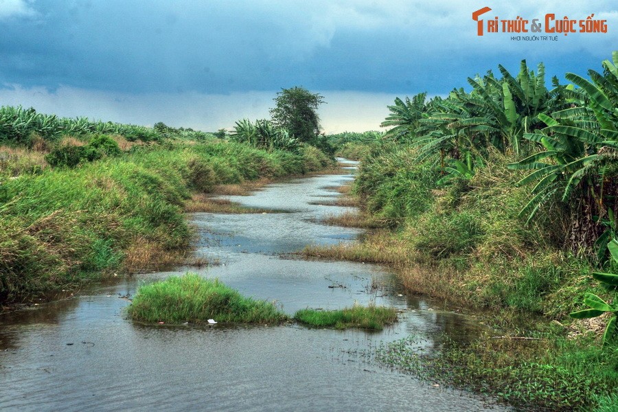 Nằm bên bờ vịnh Thái Lan, thuộc địa phận hai tỉnh Kiên Giang và tỉnh Cà Mau,  rừng U Minh là khu rừng đầm lầy than bùn duy nhất hiện diện ở Việt Nam.