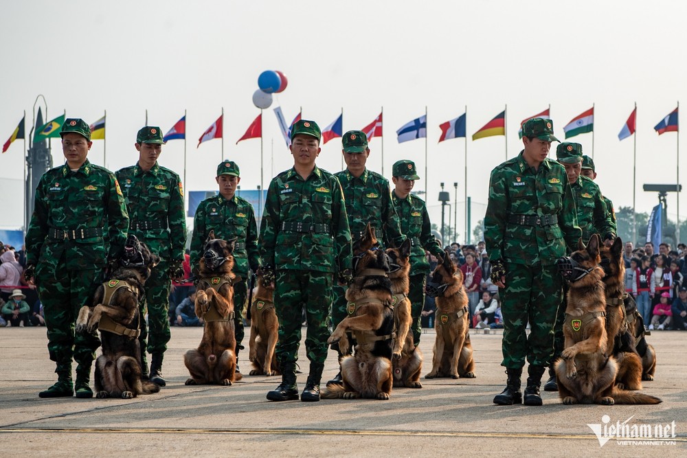 15h30 ngày 21/12, trong ngày đầu mở cửa phục vụ người dân tham quan  Triển lãm Quốc phòng quốc tế Việt Nam 2024, 118 quân khuyển trình diễn hôm khai mạc đã trở lại biểu diễn phục vụ du khách.