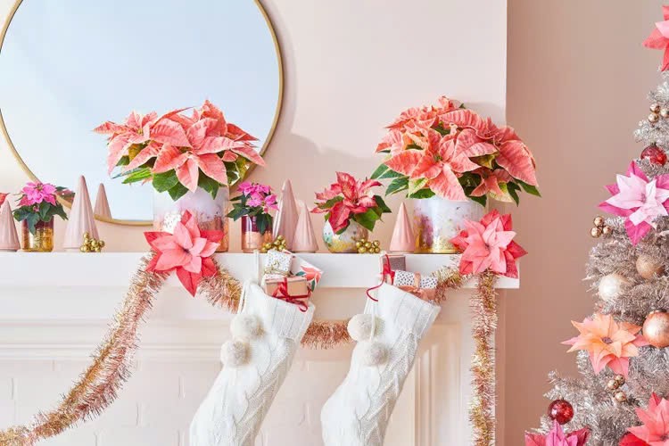 Patricia Derpinski là nhà thiết kế chính tại Hudson Holiday Decor; Evelina Juzėnaitė là nhà thiết kế nội thất chính tại Planner 5D và Emily Kantz là giám đốc tiếp thị màu sắc tại Sherwin-Williams: "Giáng sinh 2024, sẽ là sự bùng nổ của các bảng màu lấy cảm hứng từ phong cách cổ điển đến xu hướng mạ crôm".