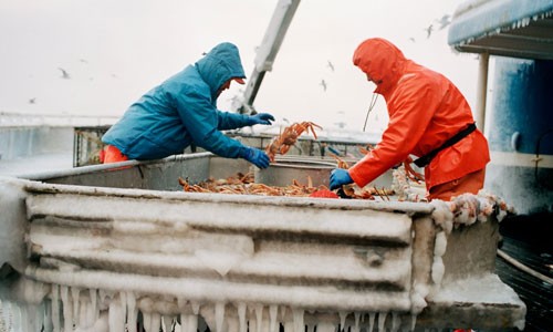 Những chuyến đánh bắt cua đầy sóng gió ở biển Alaska